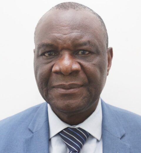 Engr. Prof. Christian A. Bolu, FNSE