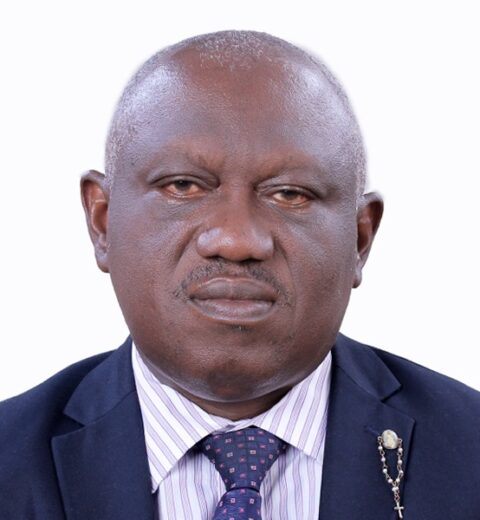 Engr. Frederick Amawhe Edafioghor FNSE